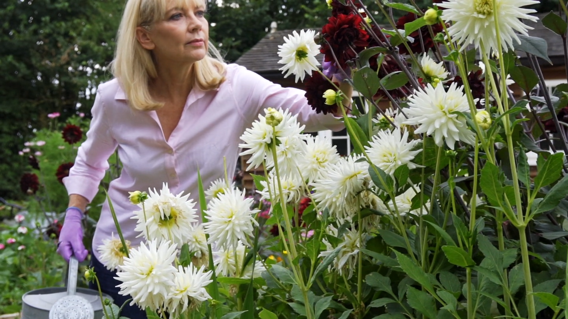 Welcome to Our Store